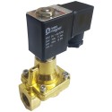 1" PU225S 2/2 Brass Normally Closed Pressure Assisted Solenoid Valve (PTFE Seal)
