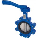 4" Albion Art135 Ductile Iron Lugged & Tapped Butterfly Valve