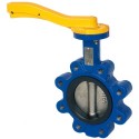 2 1/2" Albion Art145 Ductile Iron Lugged & Tapped Butterfly Valve