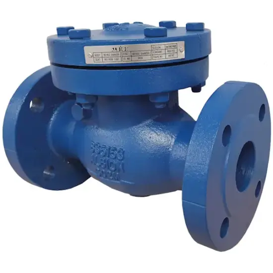 Albion Art167 PN25 Flanged cast iron swing check valve. BS EN 1092-1 PN25 flanged ends, 25 bar rated, sizes DN50 - DN300.