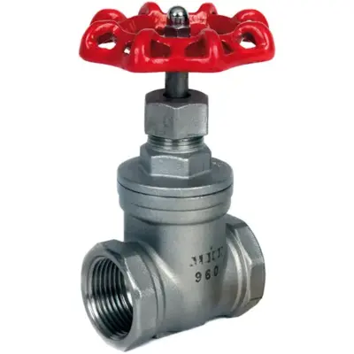Albion Art960 Full bore stainless steel CF8M gate valve with female BSPP threaded ends. PN16 rated and ATEX approved.