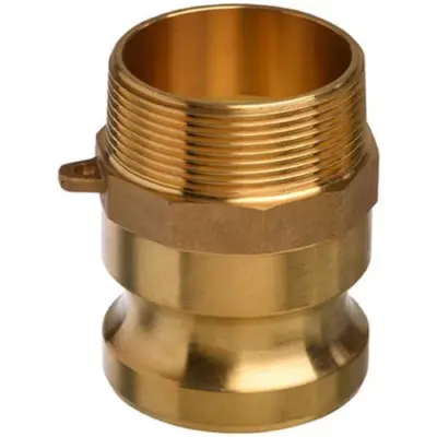Ecocam Brass part F male camlock with male BSP threaded outlet.