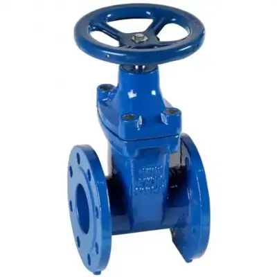 Flanged Gate Valves