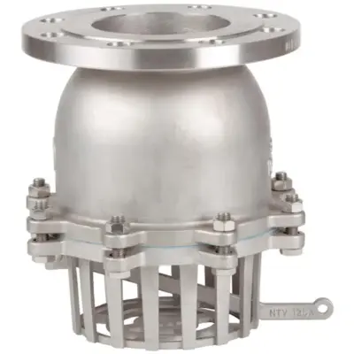 Genebre Art2448 Stainless steel foot check valve with PN16 flanged ends. SS Swing disc with FKM seating. Manual drain lever. PTFE Body gasket.