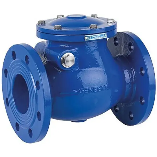 Genebre Art2544 Epoxy coated ductile iron swing check valve with PN16 flanged ends.